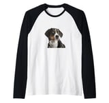 My big love is a big Swiss Mountain Dog Raglan Baseball Tee