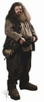 Hagrid Harry Potter Hogwarts Fun Cardboard Cutout Stand Up Great for parties