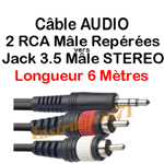 Câble 2 RCA Mâle vers 1 Jack 3,5 Mâle STEREO Fiches Surmoulées Long 6 Métres