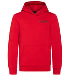 Peak Performance Junior Logo Hood Sweatshirt Ljus gråblå 170 - Fri frakt