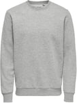 ONLY and SONS Ceres Life Crew Neck Sweatshirt light grey