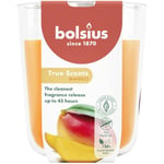 Bolsius True Scents - Mangue - Orange - Lot de 6 Bougies Parfumées - 9,7 x 8,5 cm - Durée de combustion: 45 heures - Avec extraits naturels - Cire végétale naturelle - Sans huile de palme