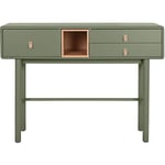 Pegane - Meuble console, table console en bois coloris vert - longueur 120 x profondeur 35 x Hauteur 90 cm