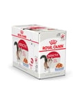 Royal Canin Instinctive Jelly - 12 x 85g