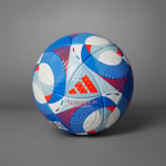 adidas Ballon Île-De-Foot 24 Pro Unisexe Adult