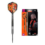 Target Darts Raymond van Barneveld RVB 95 Gen 3 23G 95% Tungsten Swiss Point