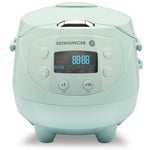 Reishunger Mini Auto Cuiseur Riz (rice cooker) Japonais et Vapeur Menthe avec la Fonction de Maintien au Chaud et Bol en Céramique, dont Cuillère et Tasse à Mesurer – 0.6 l pour 1-3 personnes