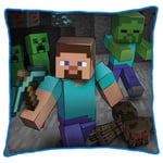 Minecraft Cushion 2-in-1 Designs Creeps Steve Zombie Kids Bed Sofa Gamers Room