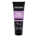 Animology Flea &amp; Tic hundeshampo 250 ml