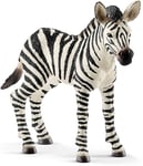 SCHLEICH - Figurine de l'univers des animaux sauvages - Jeune Zébre -  - SHL1...