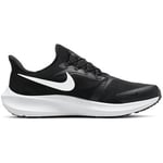 Chaussures Nike  Air Zoom Pegasus 39 Flyease