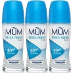 3 x Mum Brisa Fresh Deodorant Roll On Anti-Perspirant 48h Protect, Alcohol Free