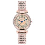 Basfur Dress Watch Fe-Montre-014-01