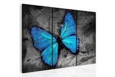 Taulu The study of butterfly triptych 90x60 - Artgeist sp. z o. o.