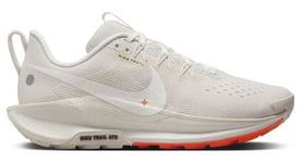 Nike Pegasus Trail 5 - femme - beige