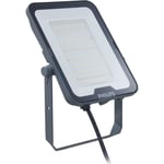 Ledinaire Floodlight Small BVP167 7300lm/830-840-865 65W Asym