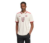 Bayern München Third 24/25 M matchtröja Herr LINEN L