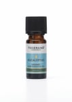 Tisserand Eucalyptus Pure Essential Oil