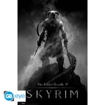 Skyrim  Plakat  Dragonborn