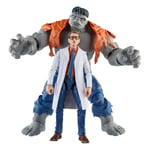 Marvel Legends - GRAY HULK &amp; DR. BRUCE BANNER - Avengers: Beyond Earth's Mig