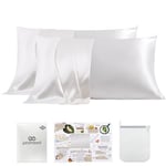 PROMEED White Silk Pillowcase 2 Pack for Hair and Skin, Both Sides 100% 23 Momme Mulberry Silk Pillow Case Set of 2 with Hidden Zipper, Soft and Breathable (Standard 20"x26", White)