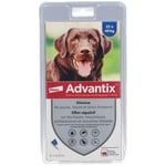 Advantix Grand chien de 25 kg - 40 Pipette(S) Unidose(S) 6 pc(s)