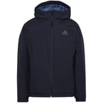 Blouson adidas  -