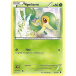 Carte Pokemon - Vipélierre - Pv 60 - 5/124 - Commune - Vf