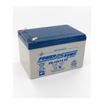 Batterie Plomb 12V 14Ah PG-12V14 F2 Powersonic