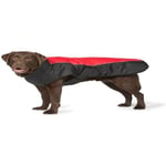 Danish Design Red Sports Manteau pour Chien/Chiot Lavable en Machine Fermeture réglable Réfléchissant Luxe 50 cm