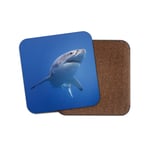 Great White Shark Coaster - Marine Hunter Ocean Sea Surf Dad Brother Gift #14210