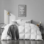 APSMILE Queen Size Goose Feather Down Comforter - Ultra Soft All Seasons 100% Organic Cotton Feather Down Duvet Insert Medium Warm Quilted Bed Comforter with Corner Tabs (90x90,Ivory White)