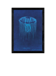 EAST END PRINTS Natural History Museum 'Jellyfish' Framed Print