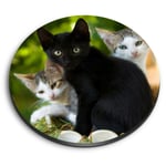 Round MDF Magnets - Cute Kittens Black Tabby Ginger Cat #24573