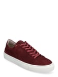 Sneaky Steve Moore Suede Burgundy