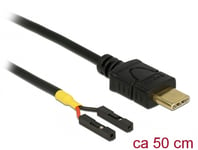 DELOCK – Cable USB Type-C™ male > 2 x pin header female separate power 50 cm (85473)