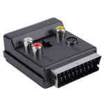 Newest Switchable Scart Male to Female S-Video 3 RCA Audio Adapter4053