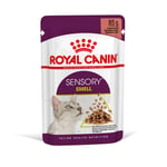 Royal Canin Sensory Smell i saus - 24 x 85 g