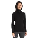 Icebreaker 260 Tech LS Half Zip Dam