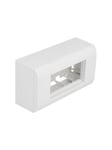 DeLOCK Easy 45 - Surface Mounted Box - White RAL 9003