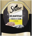 Sheba Delikatesse Pâtée pour Chat au Poulet, 22 Sachets (2 x 11 x 85 g)