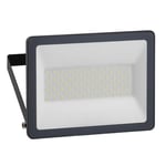 Schneider Mureva Strålkastare LED 50W IP65 230V