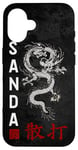 iPhone 16 Dragon Sanda Chinese Boxing Case