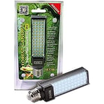 Exo Terra Ampoule LED 8 W Forest Tropical 6 500 K 100 g