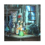 Jekyll and Hyde Lisa Parker Cat Artwork LED Light Up Canvas Wall Plaque