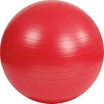 MSD Europe bvba Gym Ball Mambo 55 cm