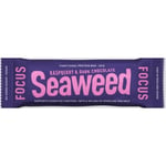 Seaweed Focus protein bar raspberry Proteinbar 50 g