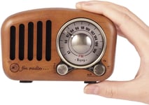 Portable Radios Small, Wood FM Radio Retro Bluetooth Speaker, Transistor Radio R