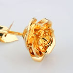 Gold Dipped Rose Golden Rose Flower Gold Forever Preserved Rose For Thanksgiving