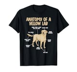 Anatomy Of A Yellow Lab Yellow Labrador Retriever T-Shirt